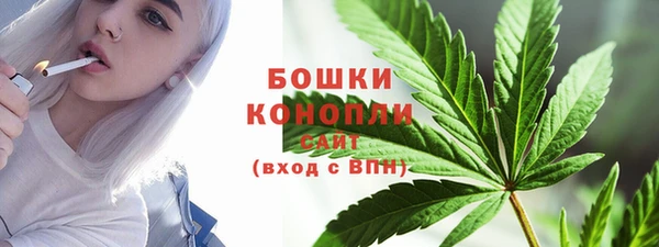 сатива Гусиноозёрск