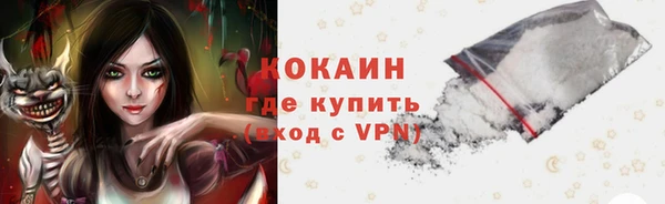 сатива Гусиноозёрск