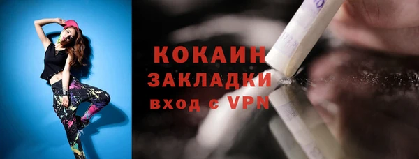 прущие грибы Билибино