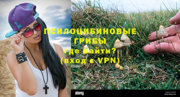 сатива Гусиноозёрск