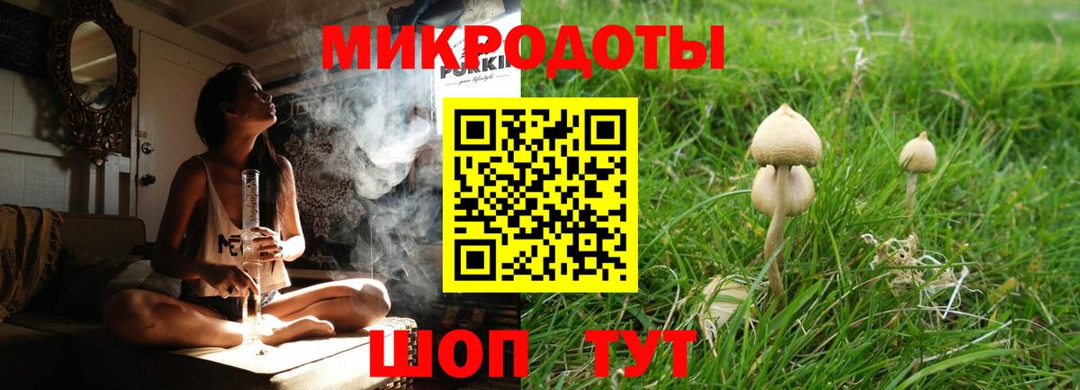 купить наркотик  Вход с VPN  Псилоцибиновые грибы Psilocybine cubensis  Зеленодольск  Псилоцибиновые грибы Cubensis 