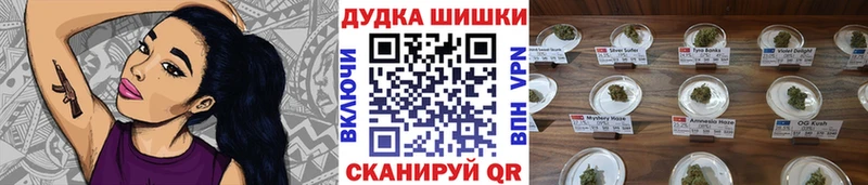 Бошки Шишки марихуана  где можно купить наркотик  Зеленодольск 